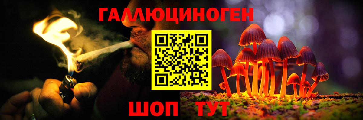 Галлюциногенные грибы Magic Shrooms  Вход с VPN  Железногорск 